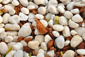 White small stone, pattern for web background