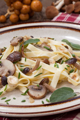 Wild Mushrooms Pasta