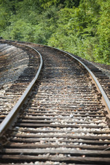 Obraz premium The Way Forward