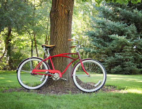 vintage bike against a tree