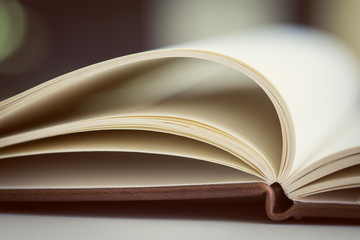 Close up on open book pages.Toned.