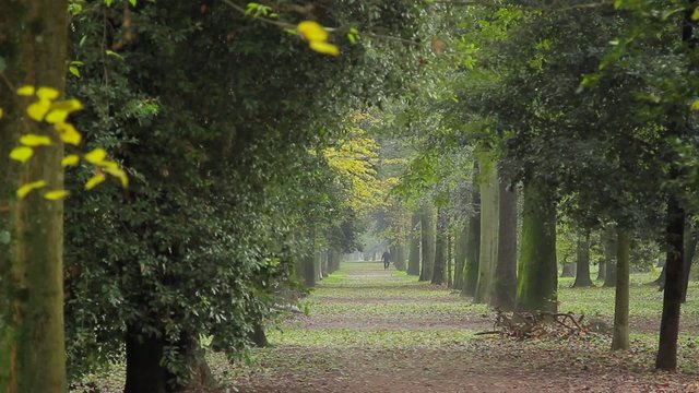 Camminando Nel Parco Delle Cascine A Firenze