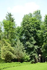 Beautiful park outdoors