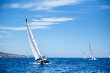 Obraz premium Sailing boats during a sea race. Yacht. Sailing.