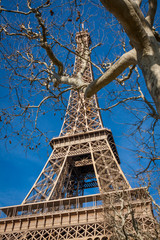 Eiffel Tower in Paris