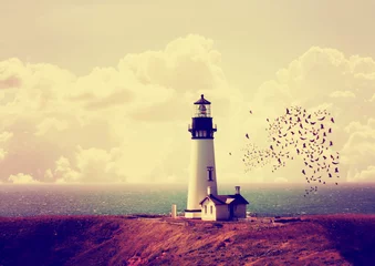 Rolgordijnen a lighthouse with a flock of birds with instagram filter © annette shaff
