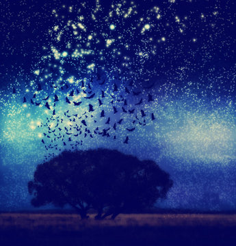 A Tree At Night With Birds And Stars
