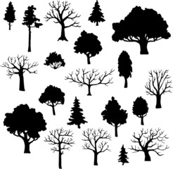 set of different trees