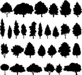 set of different deciduous trees