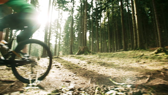 Mountain Biker Riding On Forest Track in slow motion