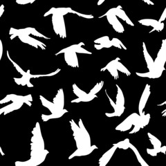 Doves and pigeons seamless pattern black white