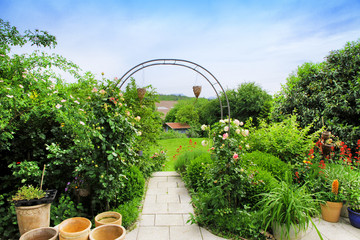 Grüner Garten im Sommer