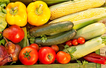 Fototapeta na wymiar fresh organic vegetables