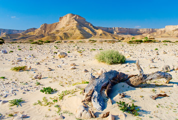 Landscape in Wadi Shuwaymiyah, Oman