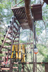 Safety equipments for climbing tree