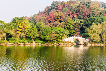Hangzhou beautiful autumn scenery in the park