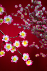 chinese new year cherry blossom