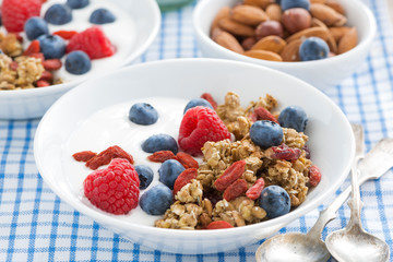 delicious breakfast with granola, berries and yogurt, close-up