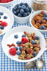 delicious breakfast with granola, berries and yogurt, top view