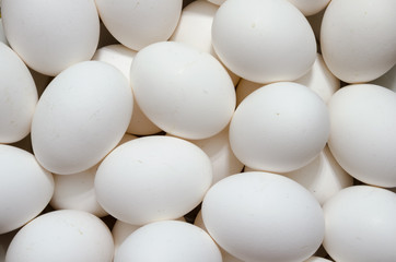 White Eggs Background - 74120936