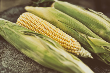Ripe corn on a wooden table