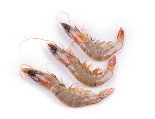 raw shrimps