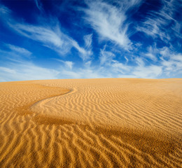 Desert sand dunes on sunrise