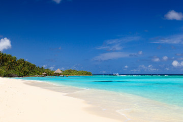 Plakat tropical sand beach