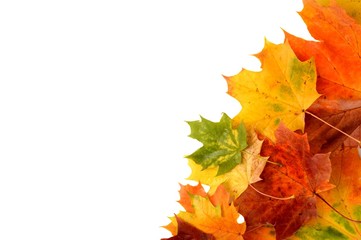 Autumn leaves in the corner isolated on white