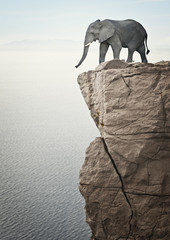  African elephant on top of a cliff. sea ​​below him.