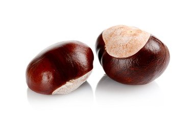 Closeup shot few chestnuts isolated on white background