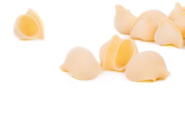 Uncooked pasta lumaconi.