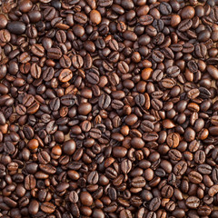 roasted coffee beans, used as a background