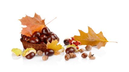 Closeup basket with chestnuts and leaves isolated on white