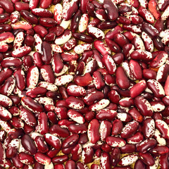 Red kidney beans background