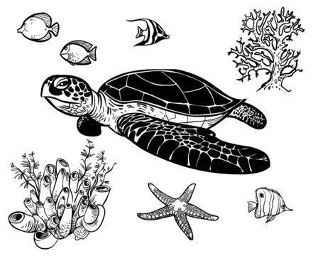 Vector icon set with sea animals