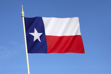 Flag of the State of Texas - United States of America