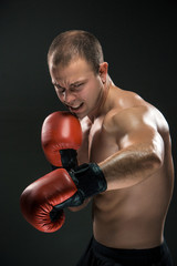 Plakat Young Boxer boxing
