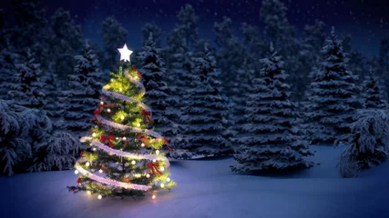 Gardinen Christmas tree in snow covered pine woods at night © imtmphoto