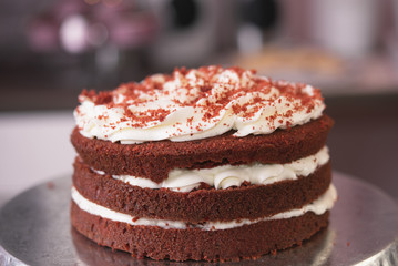 Young woman chef cooking cake in kitchen