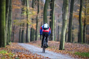 man on bicycle in autumn forest
