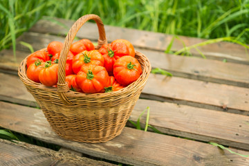 Fresh tomatoes