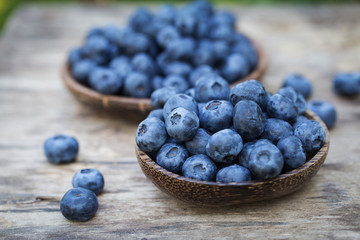 Blueberries in garden