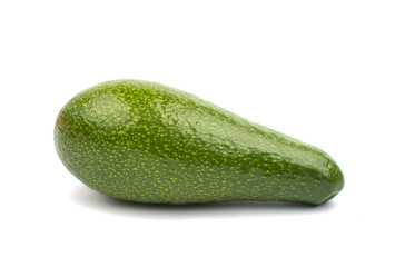 avocado fruit