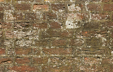 Brick wall background