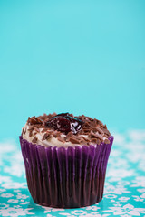 blueberry cup cake on blue background