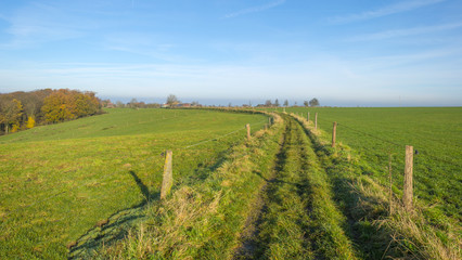 Naklejka premium Track in a sunny field at fall