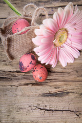 Easter eggs with gerbera daisy flowers