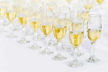 champagne glasses
