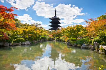 Fototapeta premium Toji Pagoda temple in Kyoto, Japan.